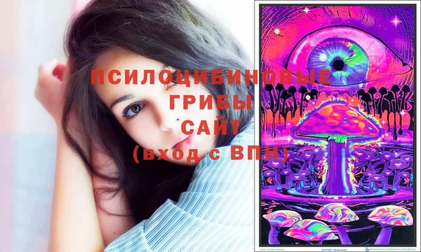 спиды Волосово